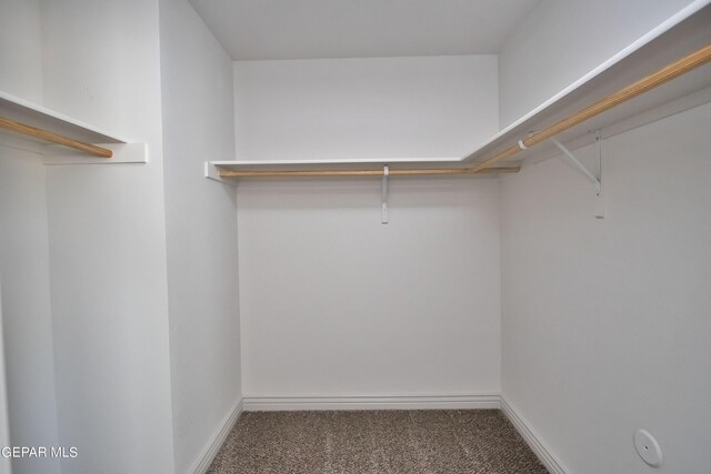 spacious closet with carpet floors