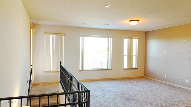 staircase featuring carpet flooring