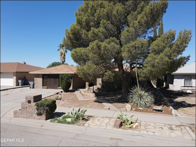 view of front of property featuring driveway