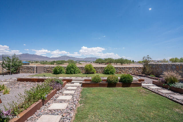 view of yard featuring a mountain view