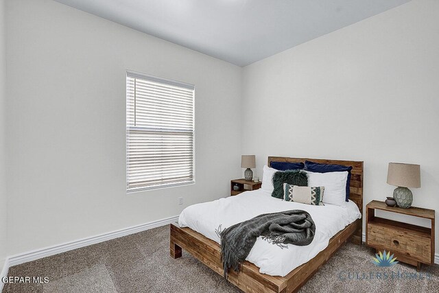 carpeted bedroom with multiple windows