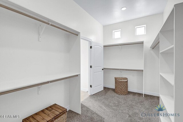 walk in closet featuring light carpet