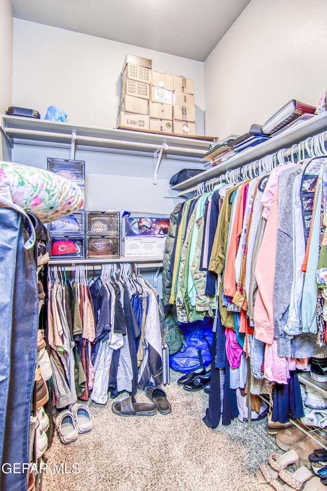 spacious closet with carpet flooring