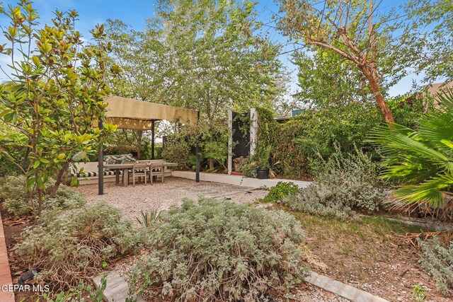 view of yard with a patio