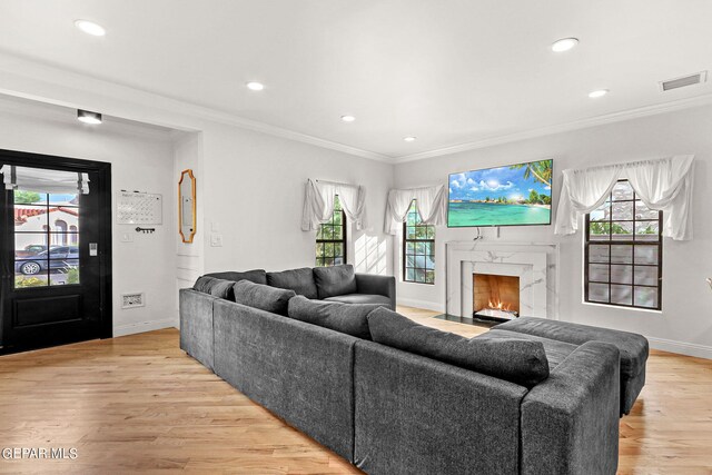 living room featuring ornamental molding, light hardwood / wood-style floors, and a fireplace