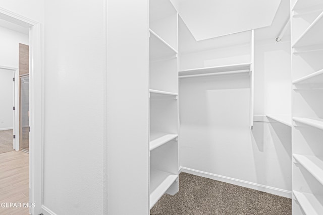 walk in closet with carpet