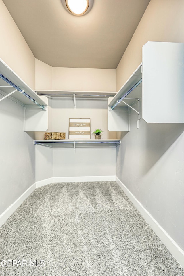 walk in closet featuring carpet floors