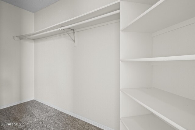 walk in closet with carpet flooring