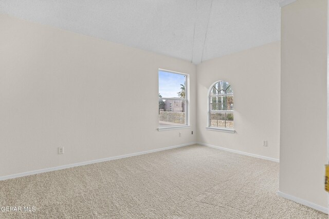 empty room with a textured ceiling and light colored carpet