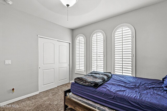 carpeted bedroom with ceiling fan, a closet, and multiple windows