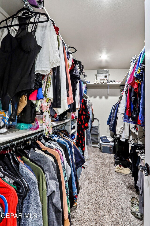 walk in closet with carpet floors