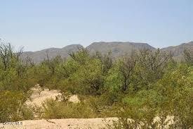 TBD Tbd, El Paso TX, 79928 land for sale