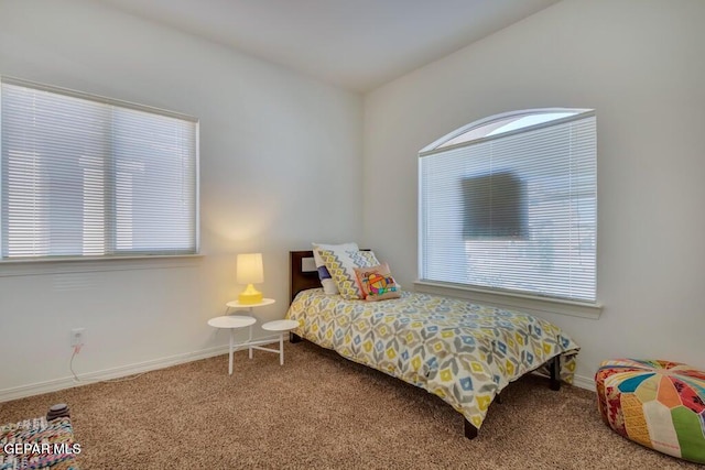 carpeted bedroom with multiple windows