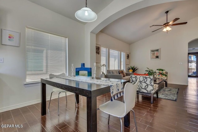 dining area featuring vaulted ceiling, dark hardwood / wood-style floors, and plenty of natural light