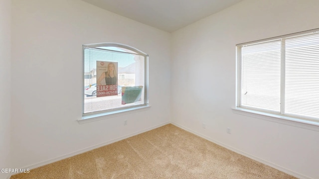 carpeted empty room with a healthy amount of sunlight