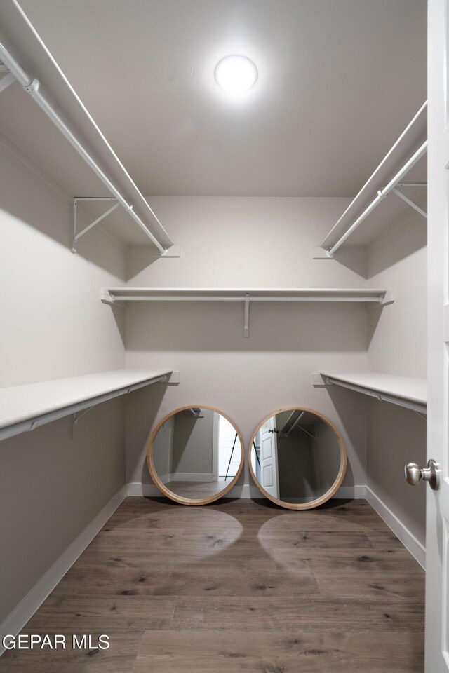 spacious closet with dark hardwood / wood-style flooring