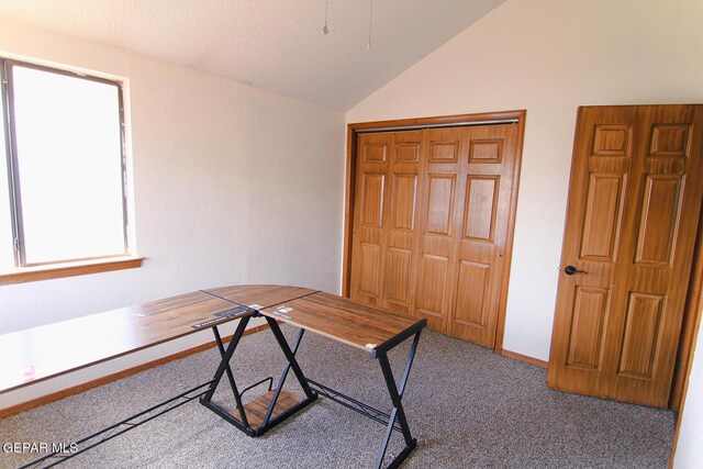 office space featuring a textured ceiling, vaulted ceiling, and carpet floors