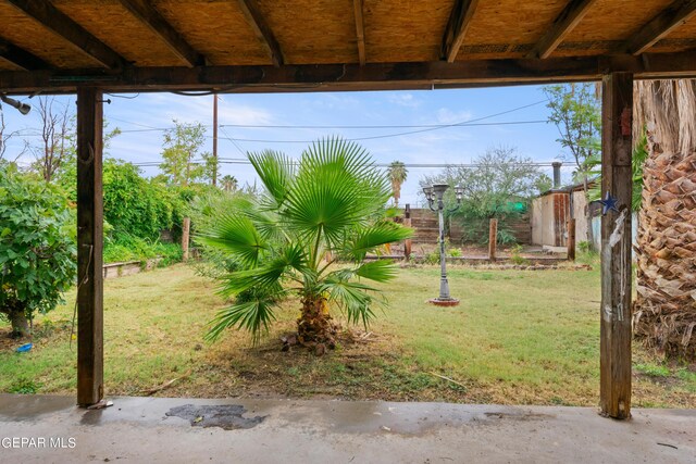 view of yard featuring a patio area