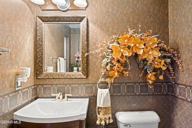 bathroom with toilet and vanity