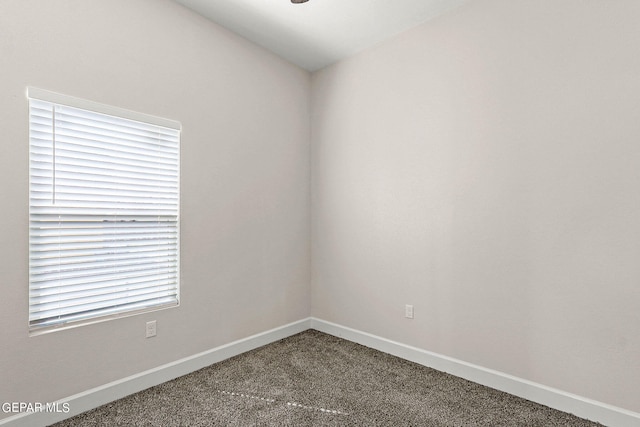 empty room with carpet flooring and a healthy amount of sunlight