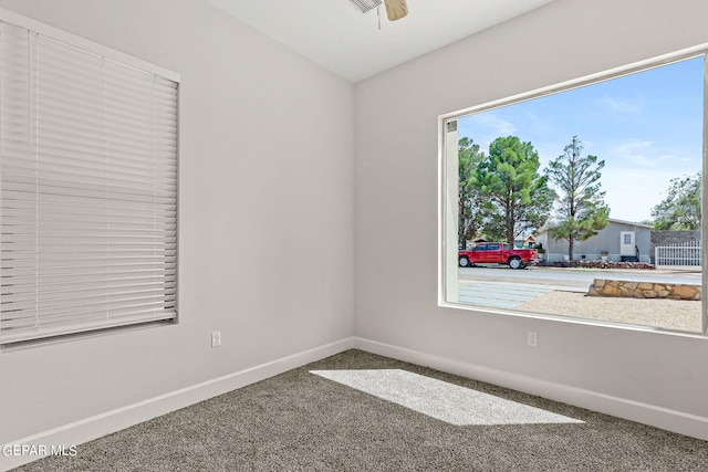 carpeted empty room with plenty of natural light