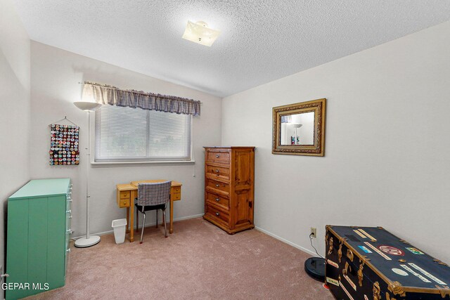 misc room with lofted ceiling, light colored carpet, and a textured ceiling