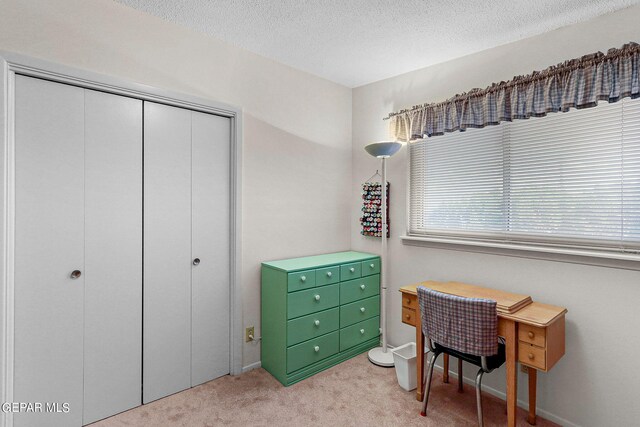 interior space with a textured ceiling, light colored carpet, and a closet