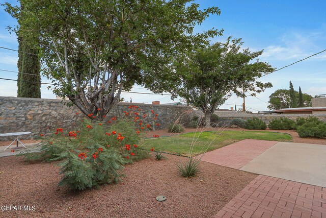 view of yard with a patio