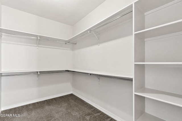 walk in closet with dark carpet