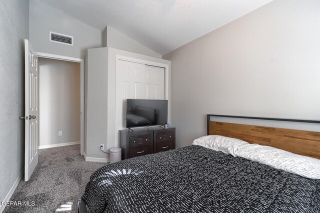 carpeted bedroom with vaulted ceiling, a textured ceiling, and a closet