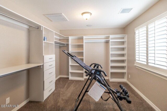 spacious closet featuring dark carpet