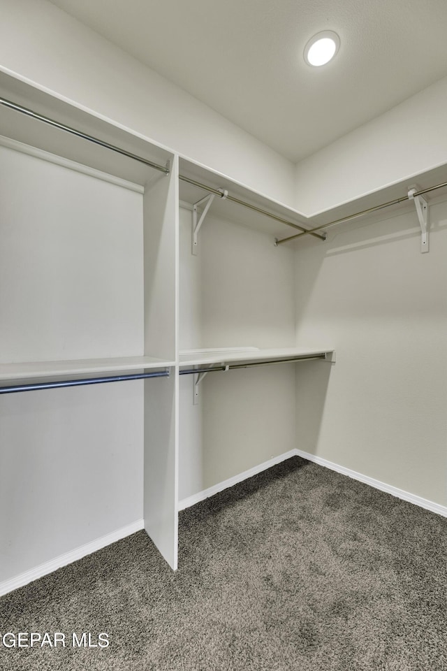 walk in closet with dark carpet