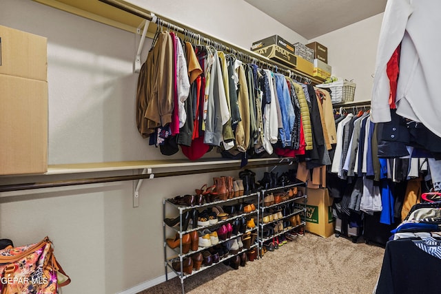 walk in closet featuring carpet