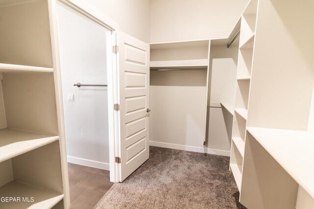 spacious closet with carpet