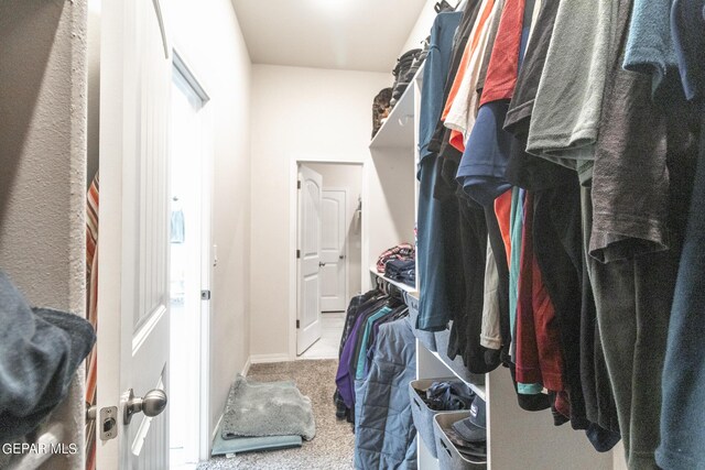 spacious closet featuring carpet floors