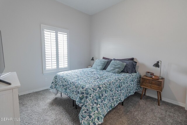 carpeted bedroom with multiple windows