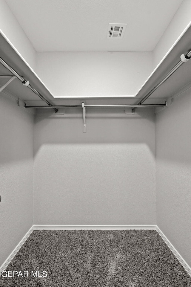 spacious closet with carpet