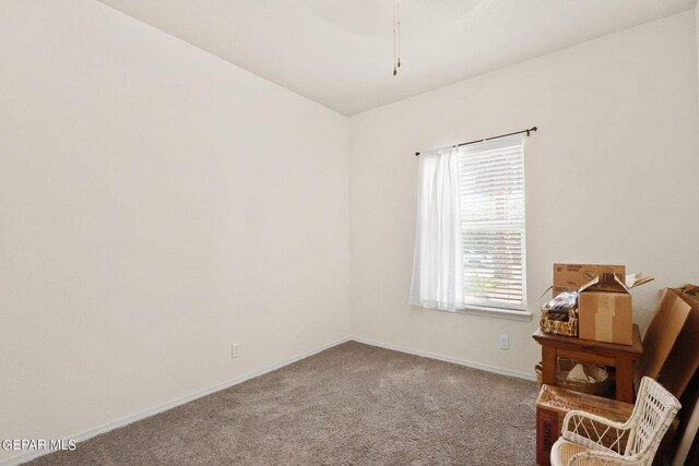 unfurnished room featuring ceiling fan and carpet floors