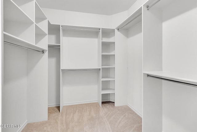 spacious closet with light carpet