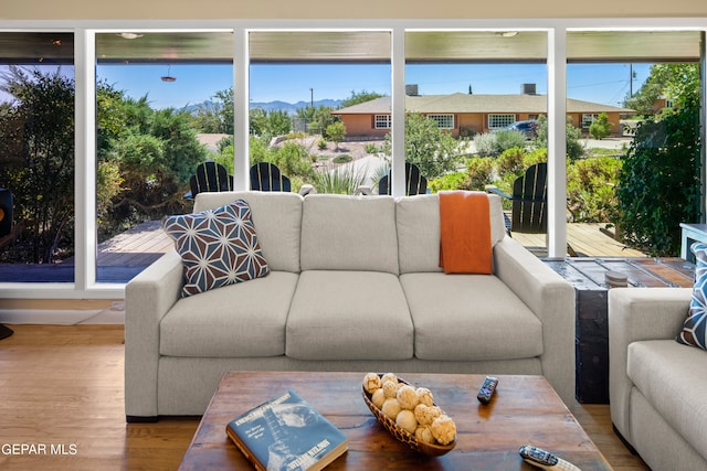 living room with hardwood / wood-style floors