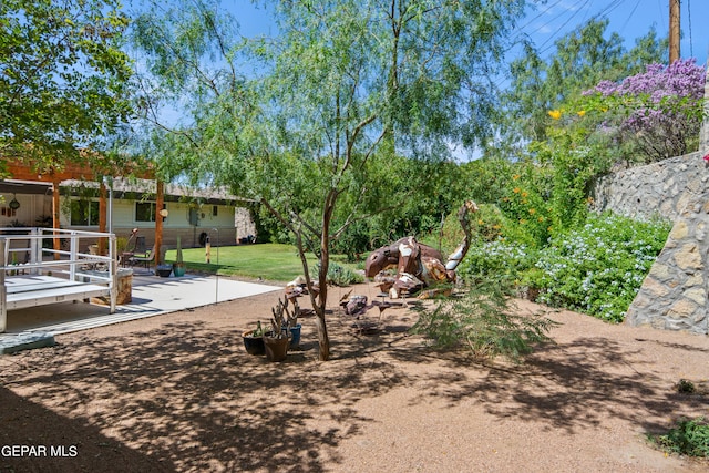 view of yard with a patio area