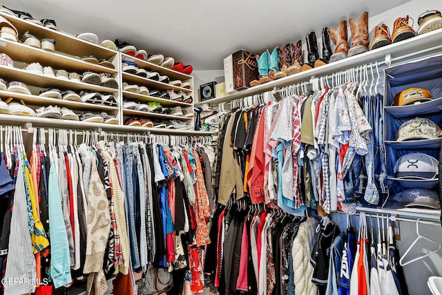 view of spacious closet