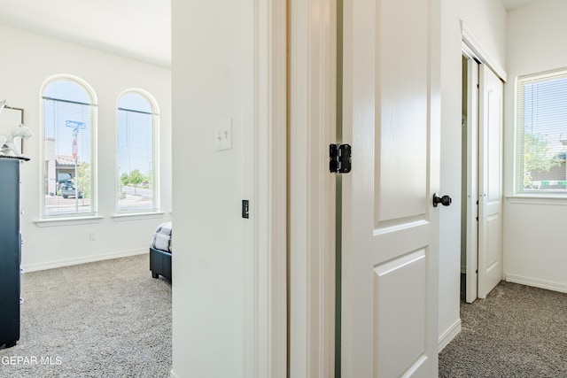 corridor with a wealth of natural light and carpet flooring