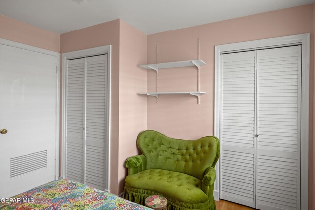 bedroom with wood-type flooring and two closets