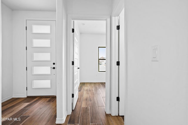 hall featuring a wealth of natural light and dark hardwood / wood-style flooring