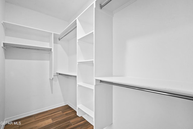 walk in closet featuring dark hardwood / wood-style floors and a barn door