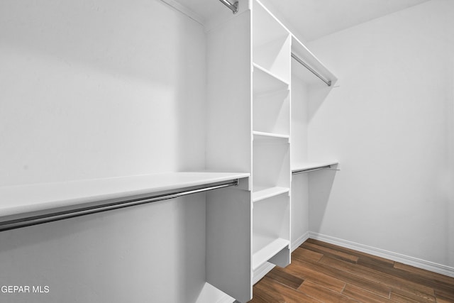 walk in closet with dark wood-type flooring