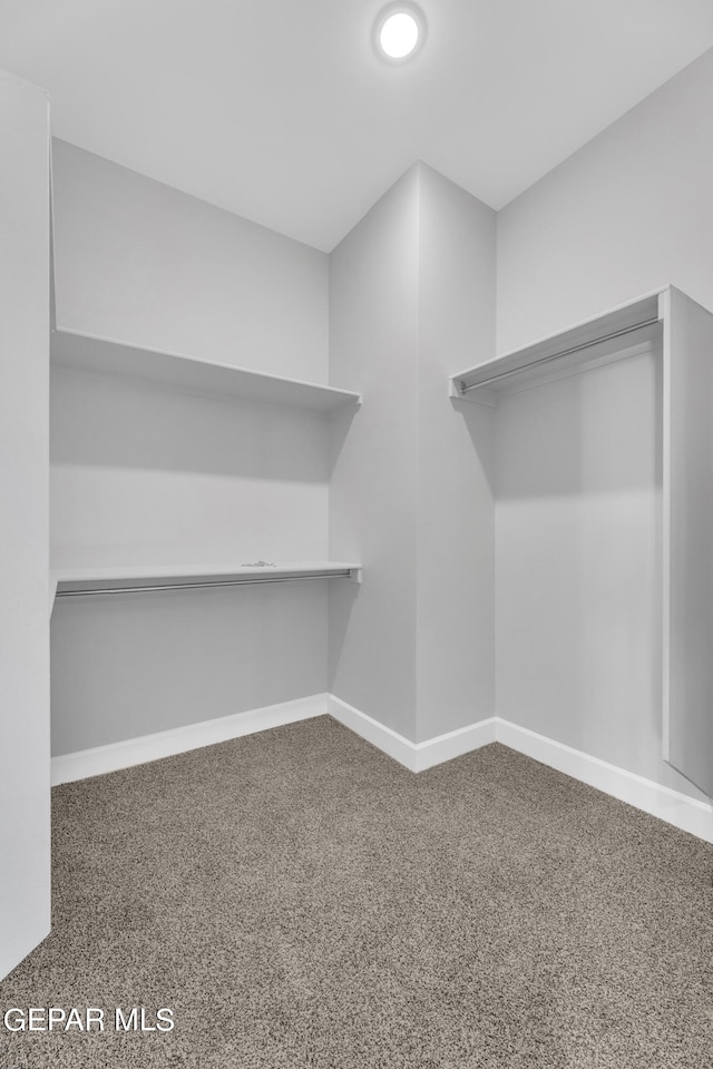 spacious closet with carpet