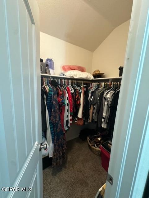 spacious closet with carpet flooring and vaulted ceiling