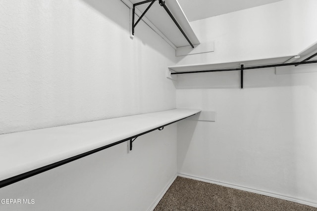 spacious closet featuring carpet floors